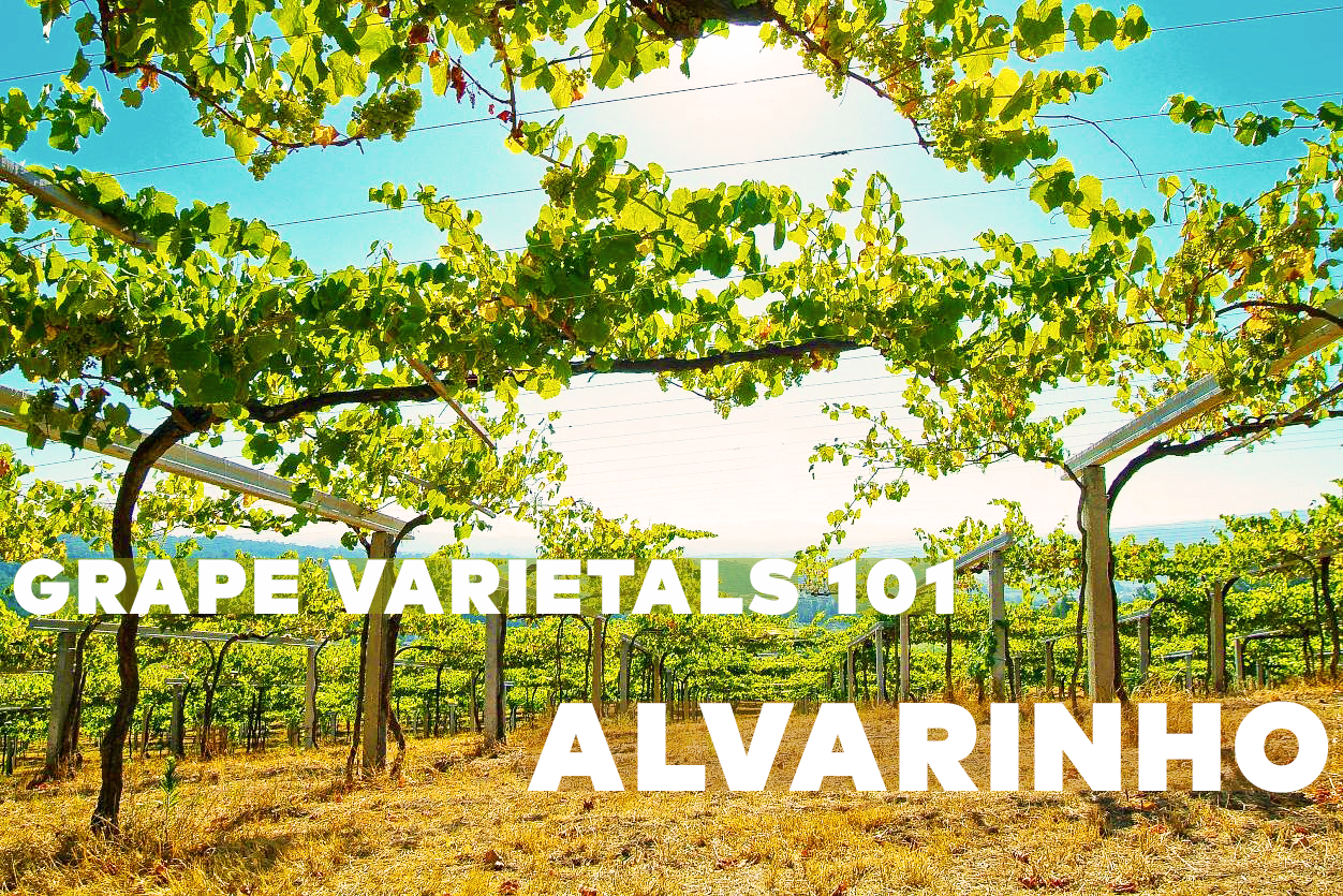 GRAPE VARIETALS 101: ALVARINHO