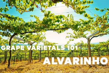 GRAPE VARIETALS 101: ALVARINHO