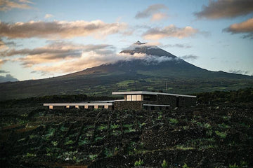 Wine of the Month: Erupção Vulcânica 2019 Red Blend by Azores Wine Company